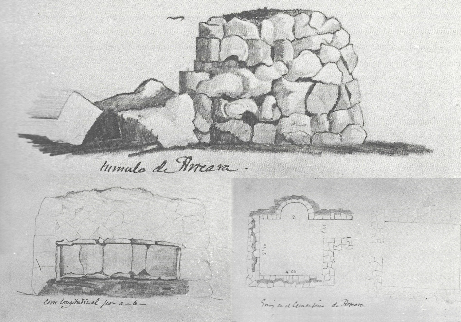 Tumulus d'Arteara, Grau Bassas